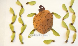 Аппликация из сухих листьев «Черепаха»