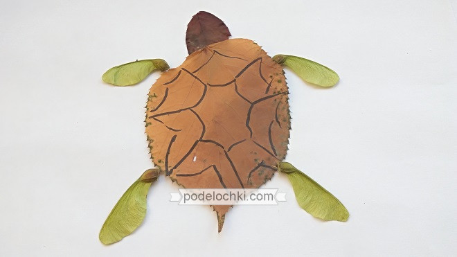 Как сделать черепаху из шишки и пластилина